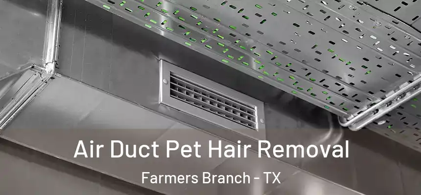 Air Duct Pet Hair Removal Farmers Branch - TX