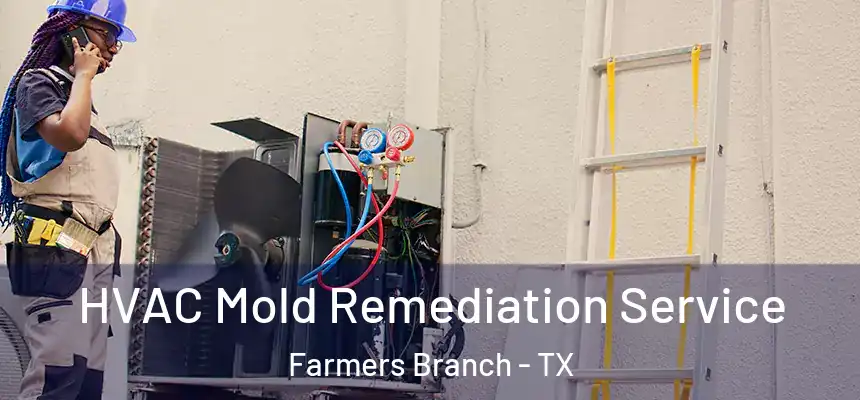 HVAC Mold Remediation Service Farmers Branch - TX