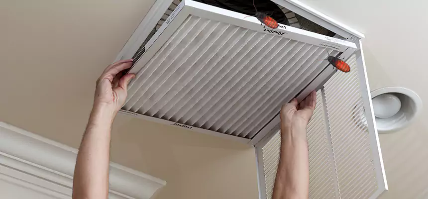 Preventive Cockroach-Proofing for Ducts in Farmers Branch