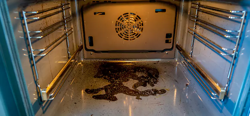 Our Dryer Vent Mold Cleaning Services in Farmers Branch, TX