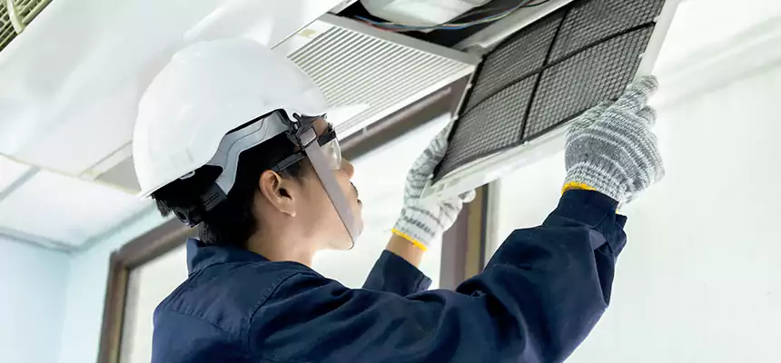 Our Mold & Mildew Removal from Air Ducts Services in Farmers Branch, TX