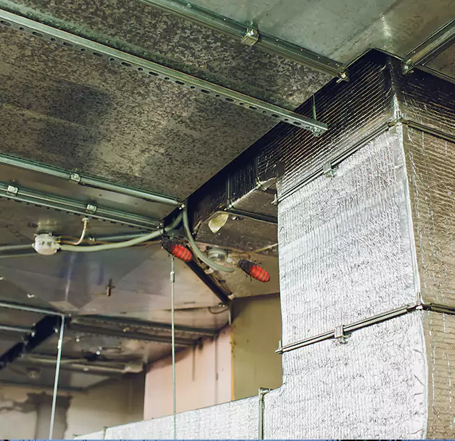 Why Homeowners & Businesses Trust Us in Farmers Branch, TX?