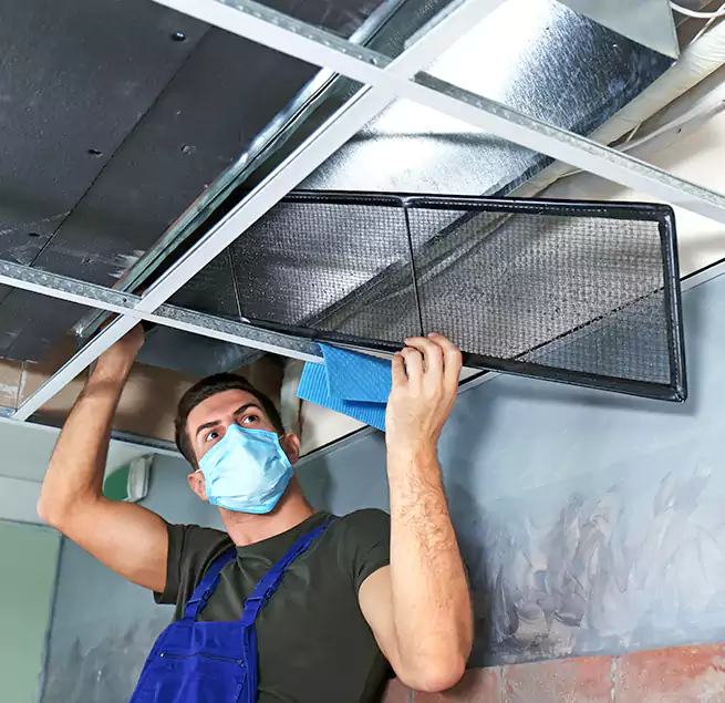 Why Homeowners Businesses Trust Us in Farmers Branch, TX