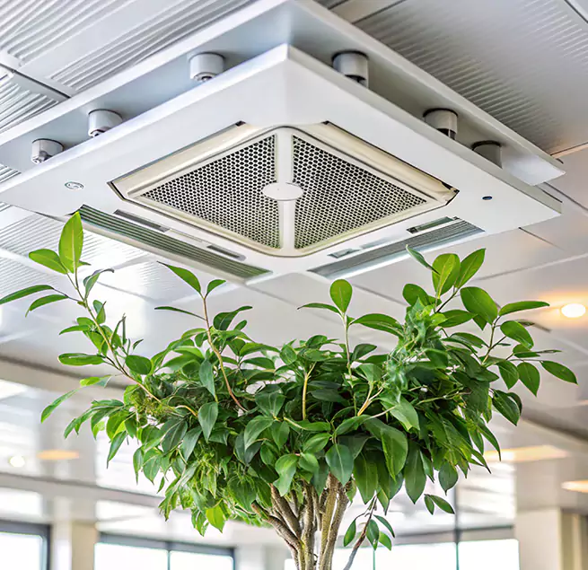 Why Homeowners & Businesses Trust Us in Farmers Branch, TX?