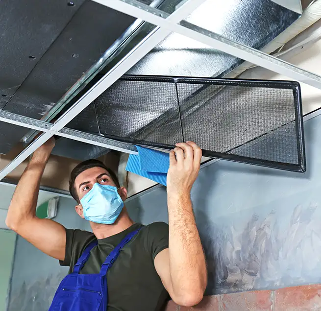 Why Homeowners & Businesses Trust Us in Farmers Branch, TX?